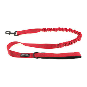 Stretchy Bungee Leash