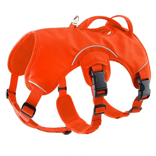 Certified Dog Harness