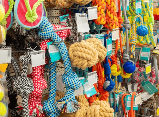 Market trends in pet industry