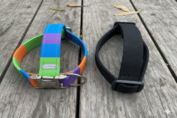 A side-by-side comparison of a colorful BioThane collar and a standard nylon collar