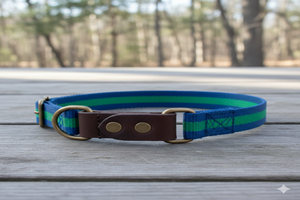 a martingale dog collar showing its two-loop design, one large loop and one smaller control loop