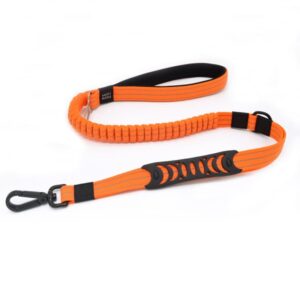 Nylon Leash with Safety Belt Buckle