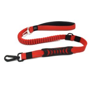Nylon Dog Belt