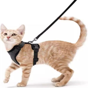Cat Harness& Cat Leash