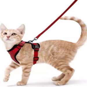 Cat Harness& Cat Leash