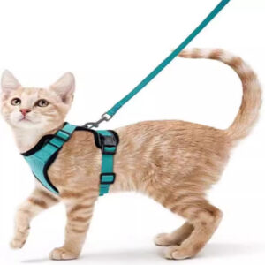 How to Make Money with Pets by Scaling Your Product Strategy?