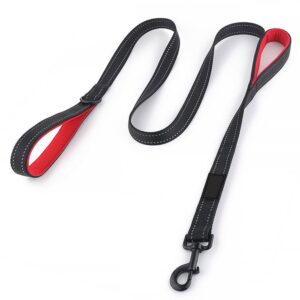 Dog Leash in Bi-Colors