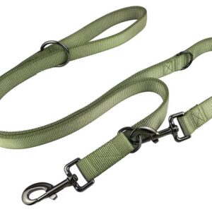 Multi function leash