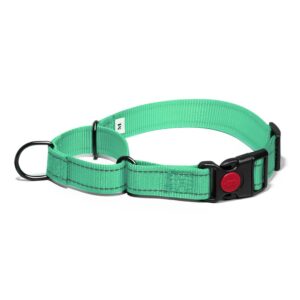 Dog Collars
