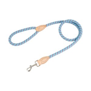 Rope Leads for Dogs