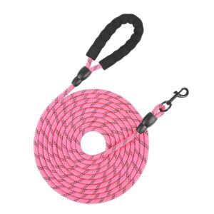 Dog Training Leash